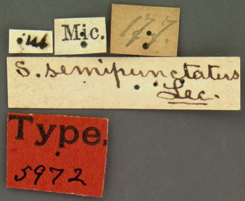 Media type: image;   Entomology 5972 Aspect: labels